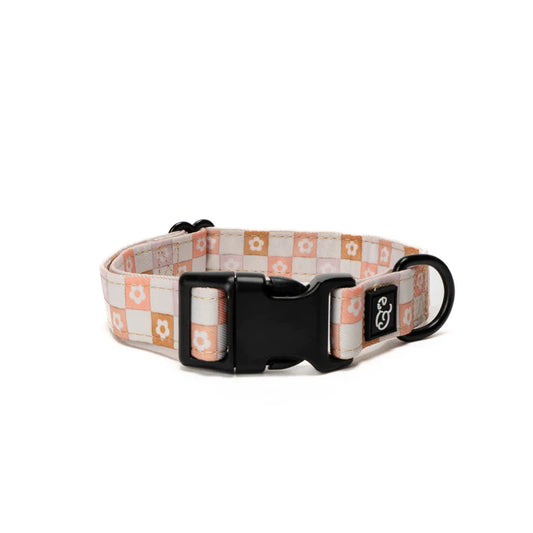 Daisy Delight Collar | Lucy & Co