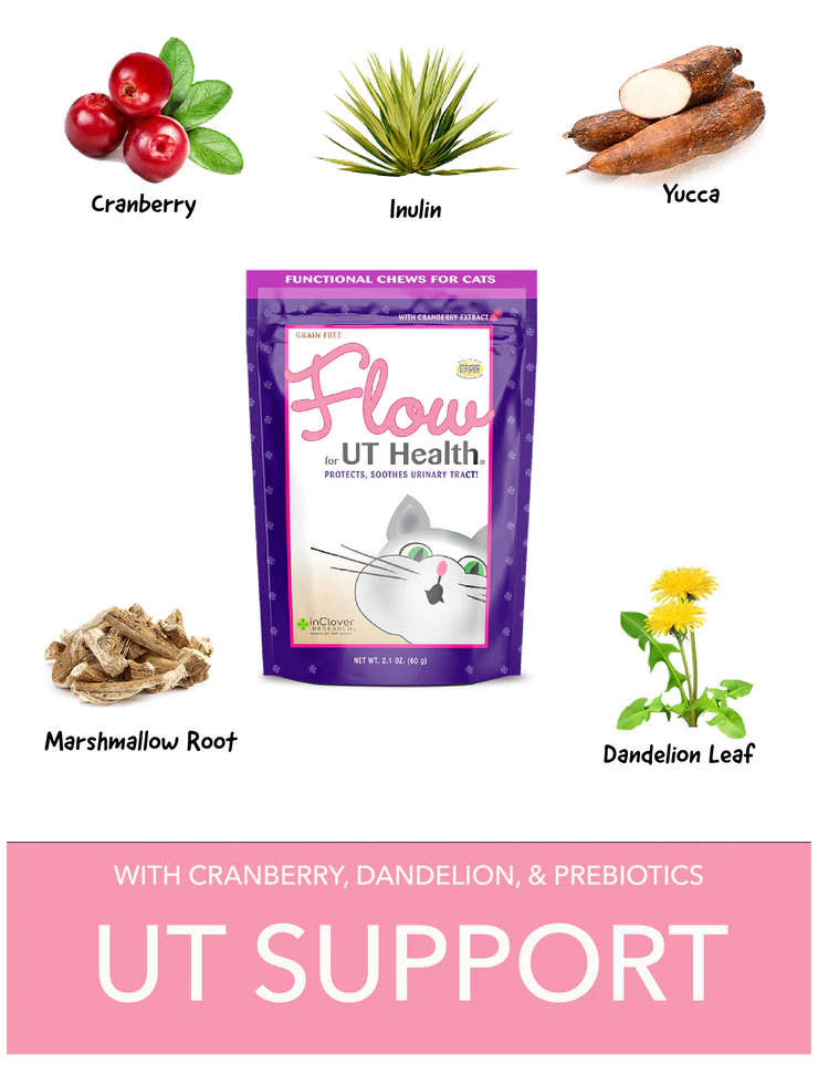 FLOW, UT Health Soft Chew With Cranberry Extract for Cats | inClover