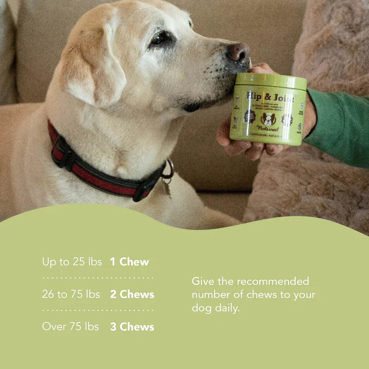 Hip & Joint Supplement | Natural Dog Company