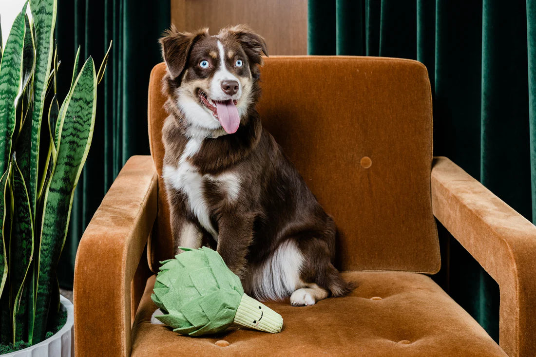 Artichoke Snuffle Toy