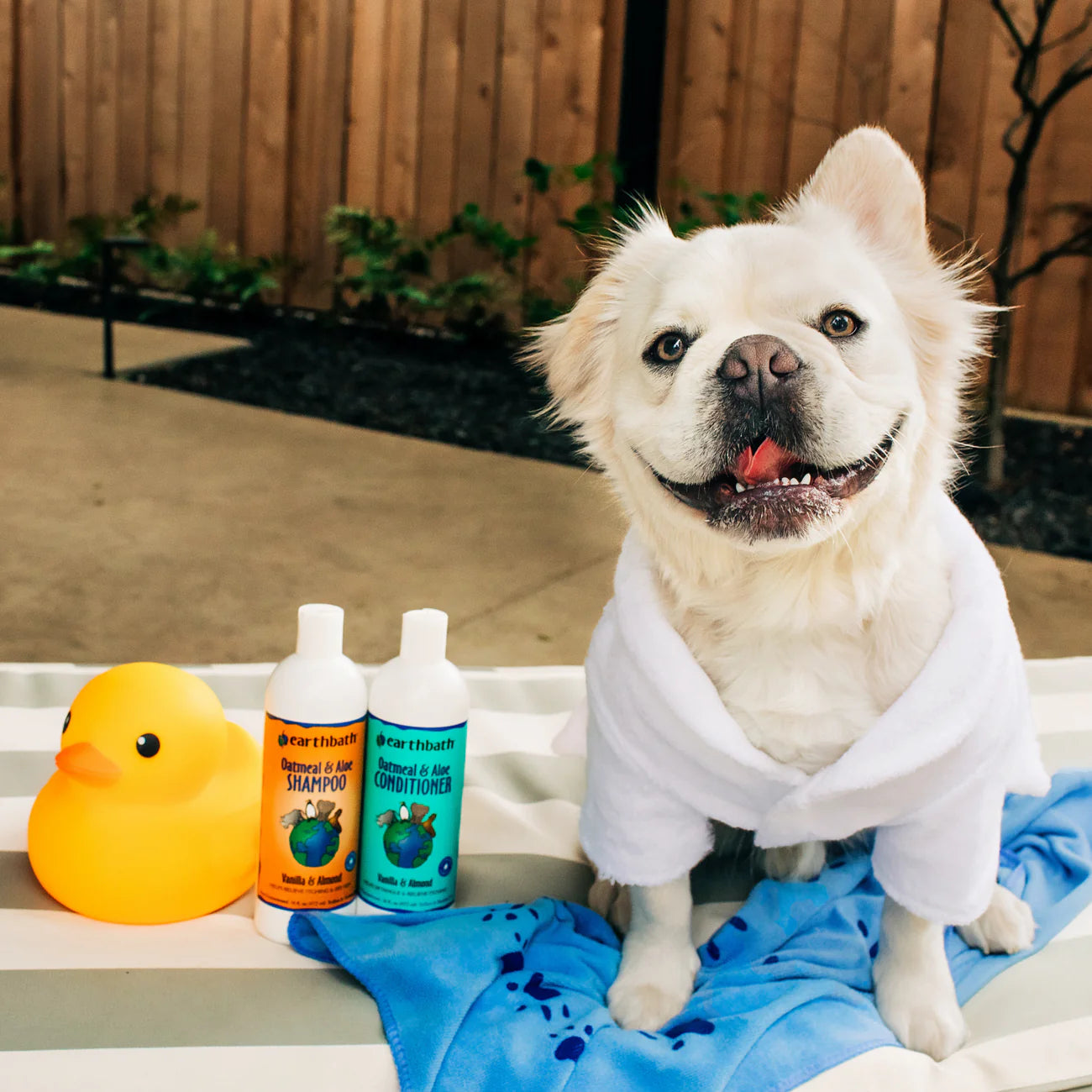 Oatmeal and Aloe Shampoo | Earthbath