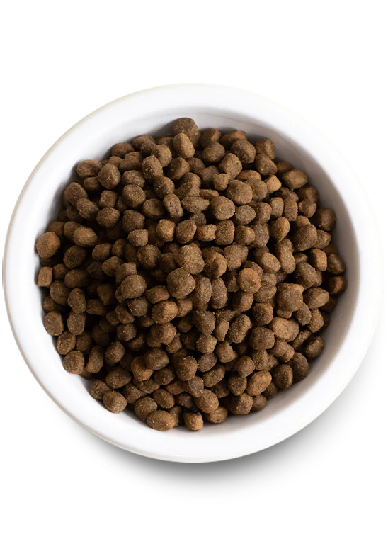 Open Farm New Zealand Venison & Ancient Grains Dry Dog Food