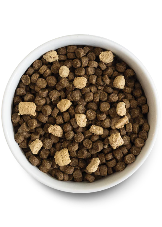 Open Farm Tide & Terrain Ancient Grains RawMix for Dogs