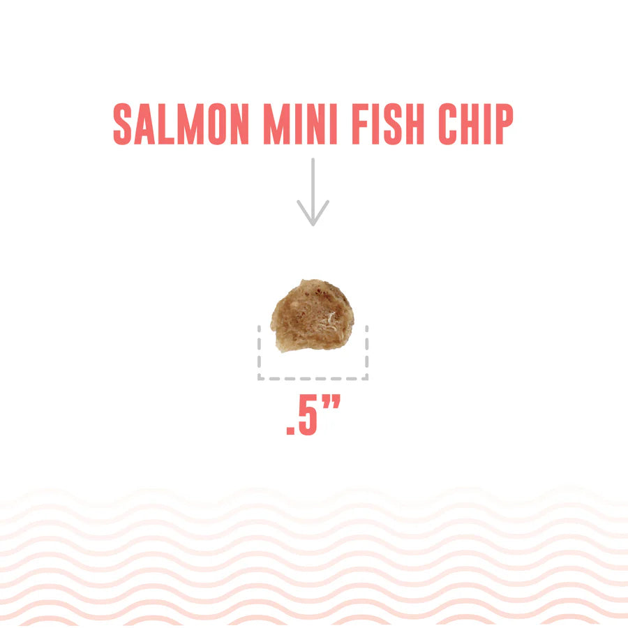 Salmon Mini Fish Chips | Icelandic+