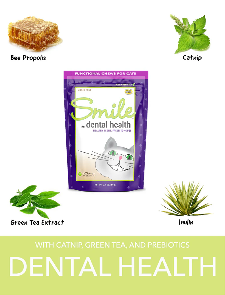 SMILE, Dental Support Supplement Soft Chew for Cats | inClover