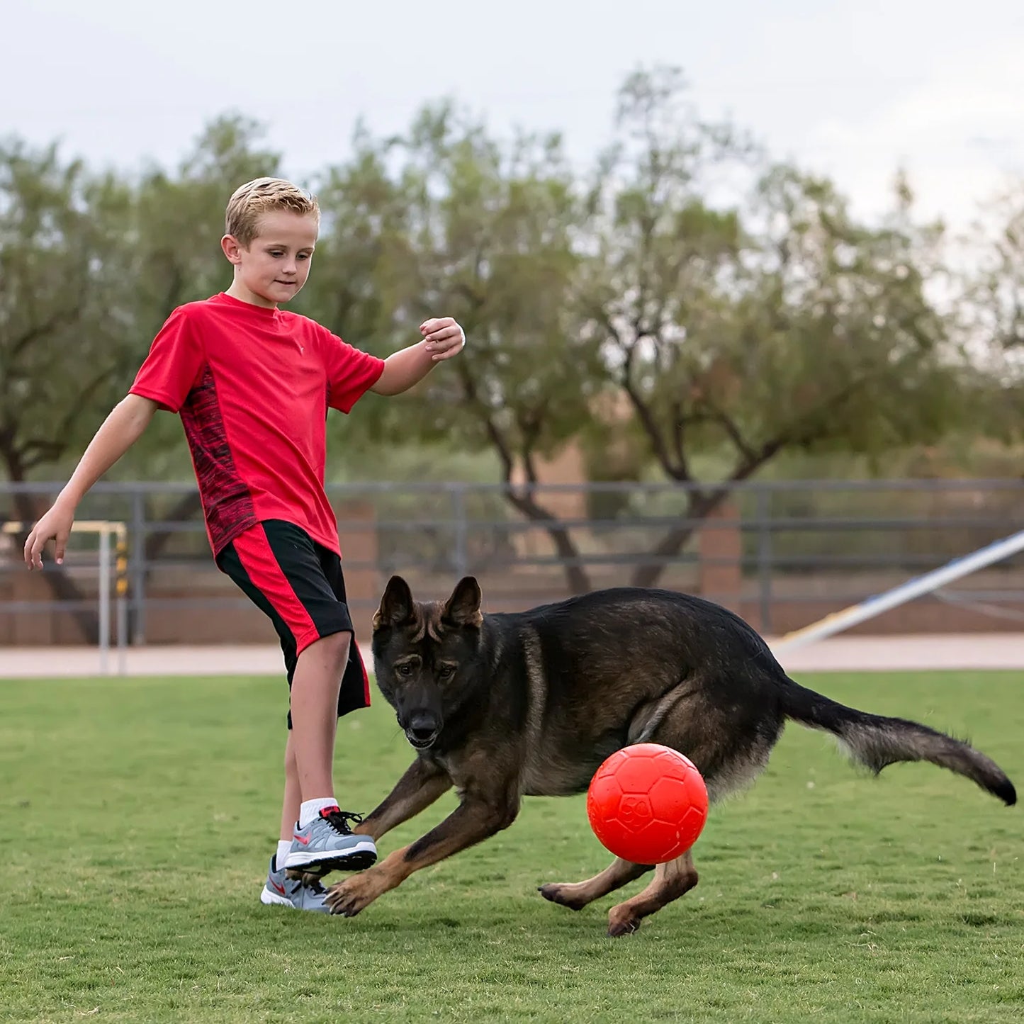 Soccer Ball | Jolly Pets