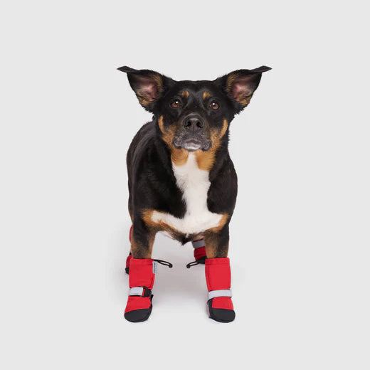 Red Soft Shield Winter Boots | Canada Pooch