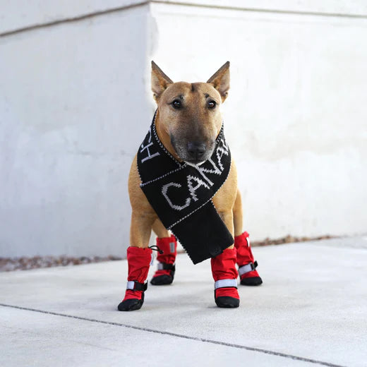 Red Soft Shield Winter Boots | Canada Pooch