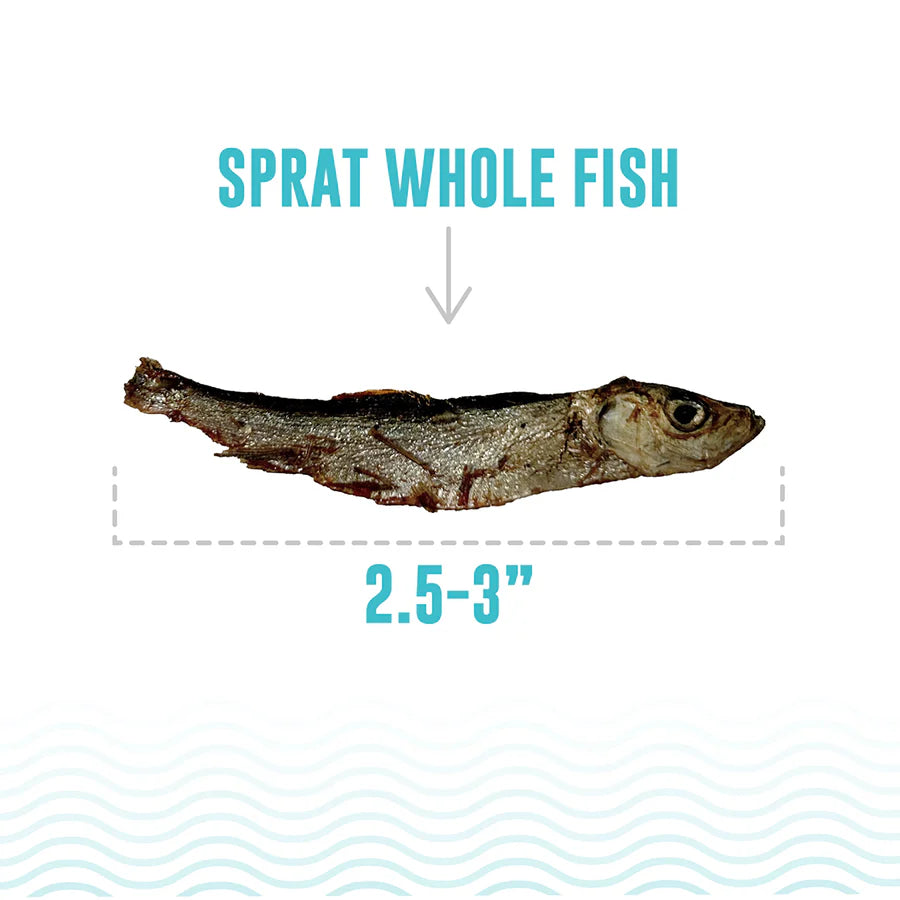 Sprat Whole Fish Treats | Icelandic+