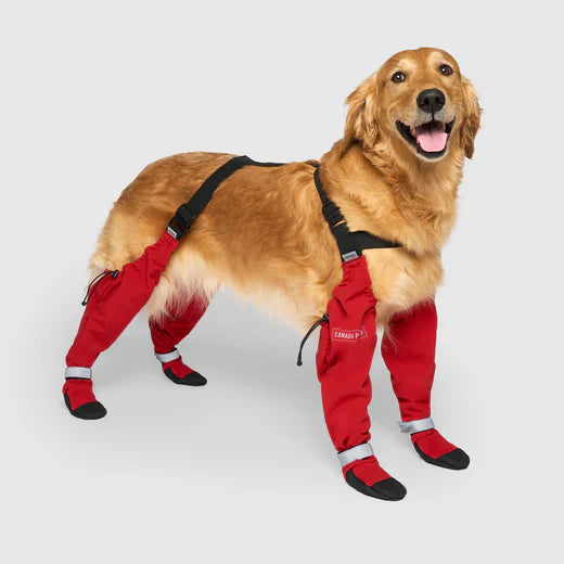 Red Suspender Boots- Dog Boots | Canada Pooch