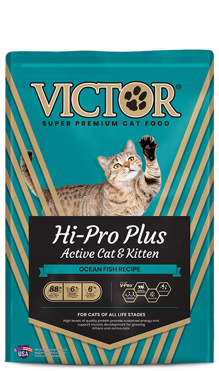 Hi-Pro Plus Dry Cat Food | Victor