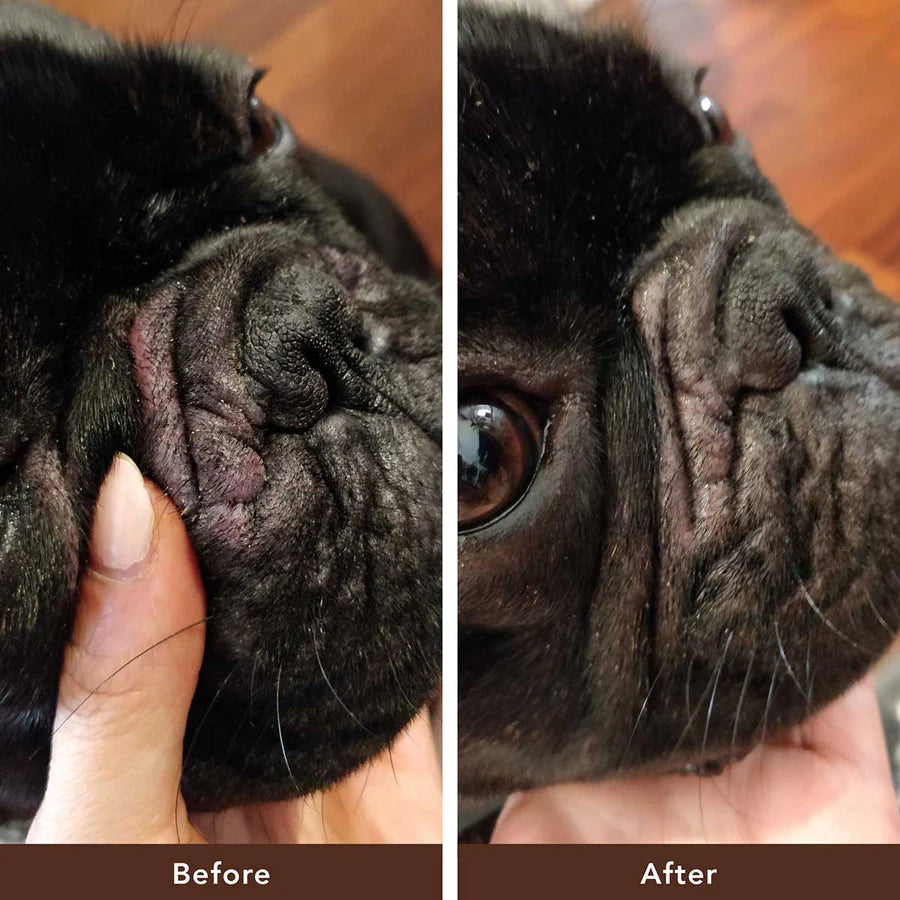 Wrinkle Balm | Natural Dog Company