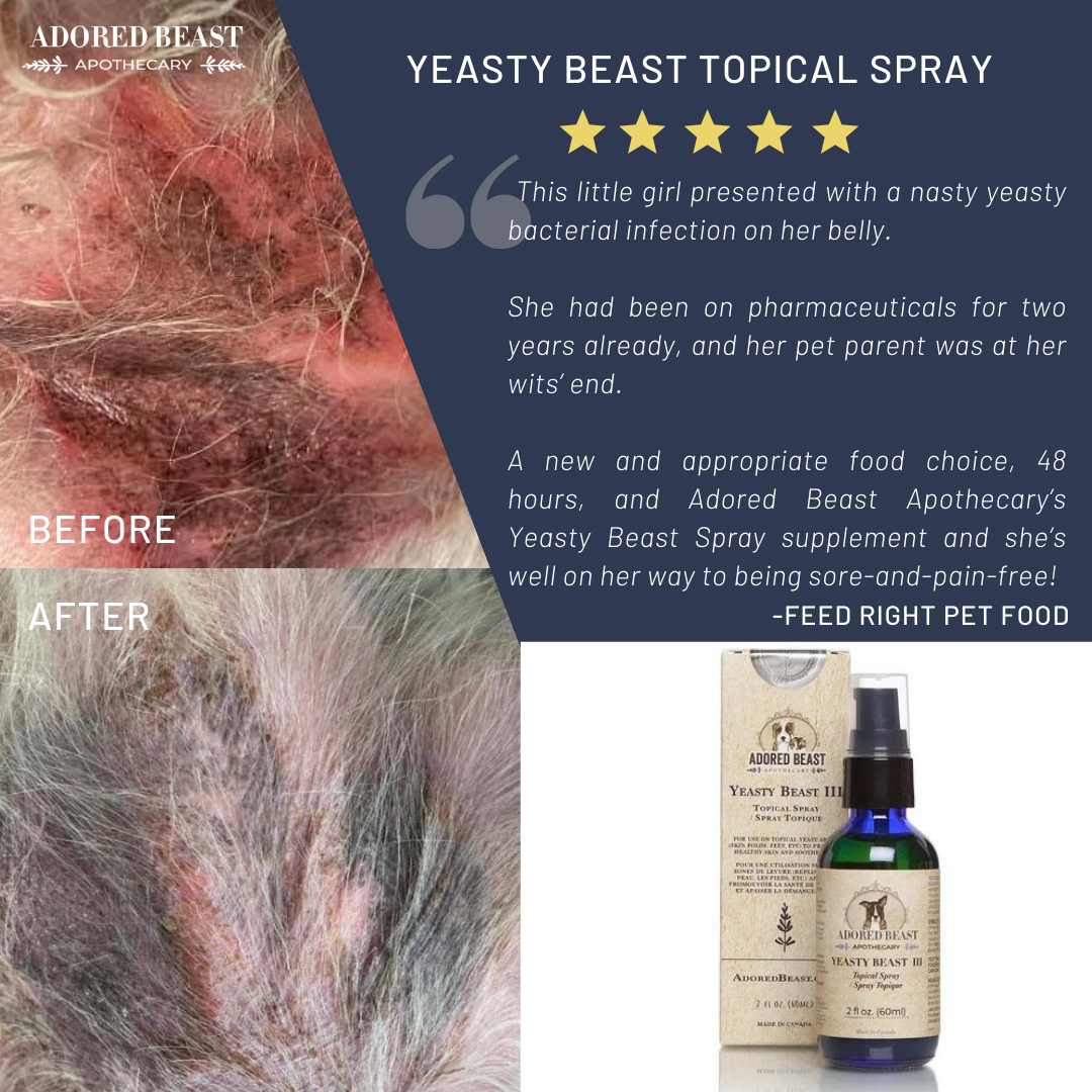 Adored Beast Apothecary Yeasty Beast | Topical Yeast Spray for Dogs