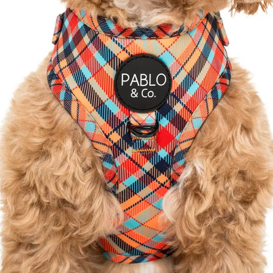 Tartan Adjustable Harness | Pablo & Co.