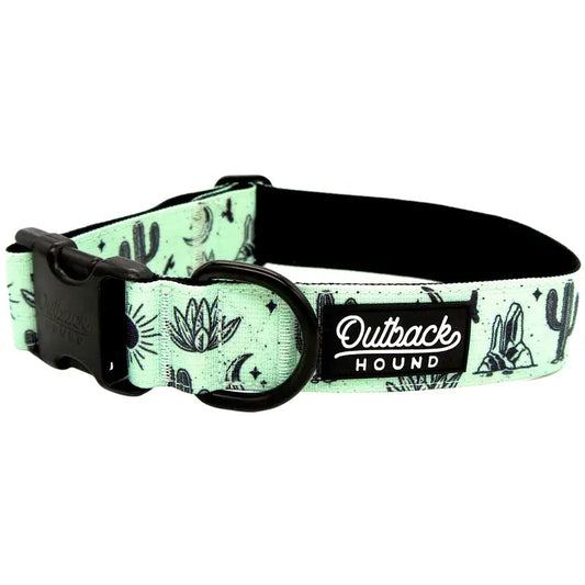 Outback Hound Agave Trail Collar