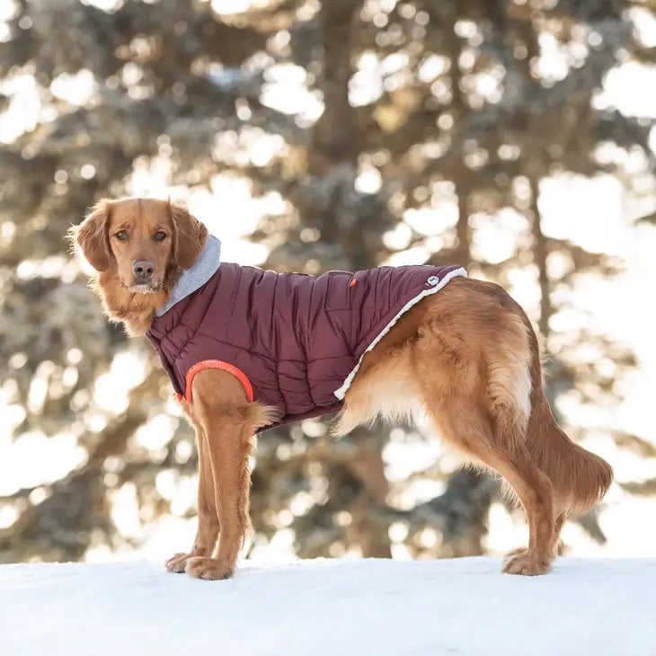 GF Pet Red Winter Sailor Parka