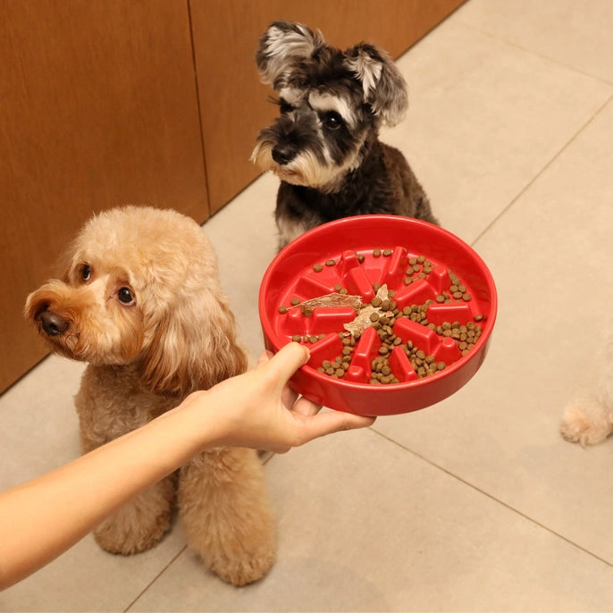 Spark Ceramic Slow Feeder Dog Bowl - Red