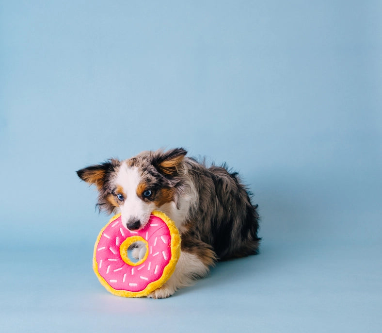 Jumbo Strawberry Junior Donut Plush Dog Toy | ZippyPaws