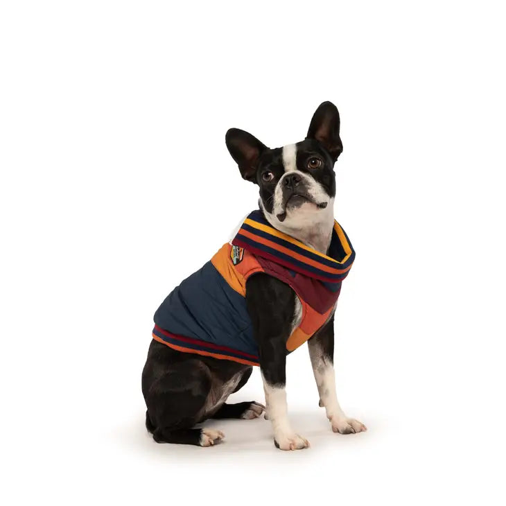 FabDog Navy Chevron Winter Coat