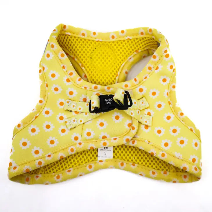 Yellow Daisy Step In Harness | Pablo & Co