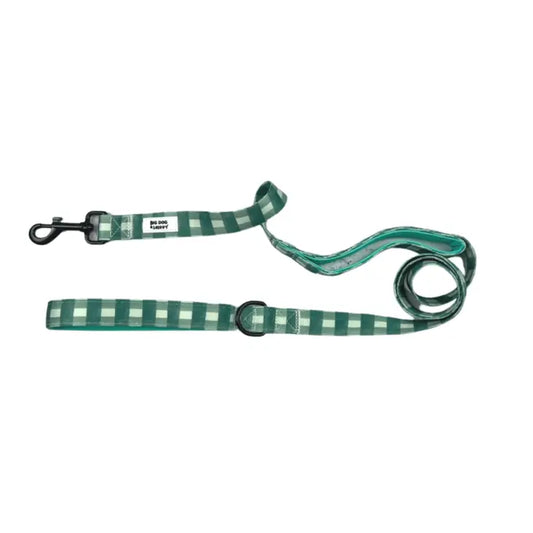 Pups Picnic Traffic Lead Leash by Big Dog & Skippy