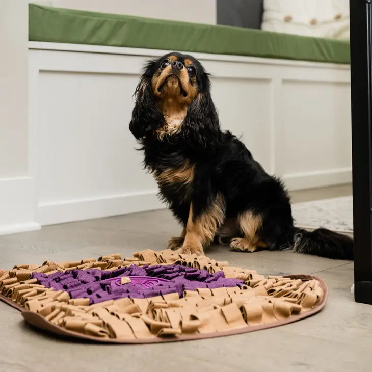 PB & J Snuffle Mat