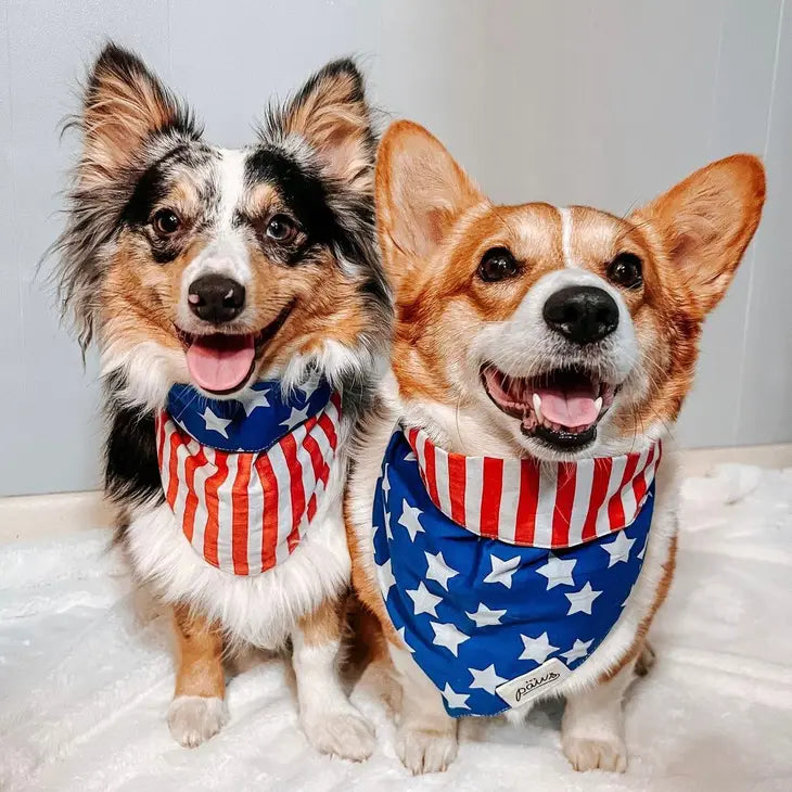 Patriotic Dog Bandana | The Paws