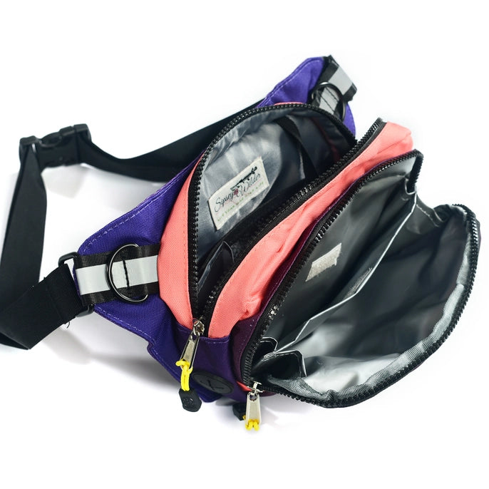 Fruit Burst Rover Hip Pack | Sipsey Wilder