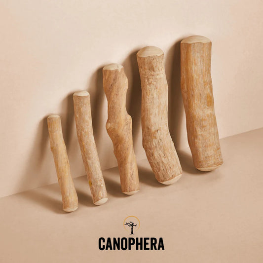 Coffee Wood Chew | Canophera