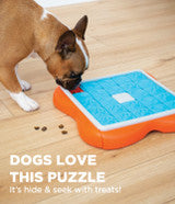 Challenge Slider Puzzle Toy | Outward Hound