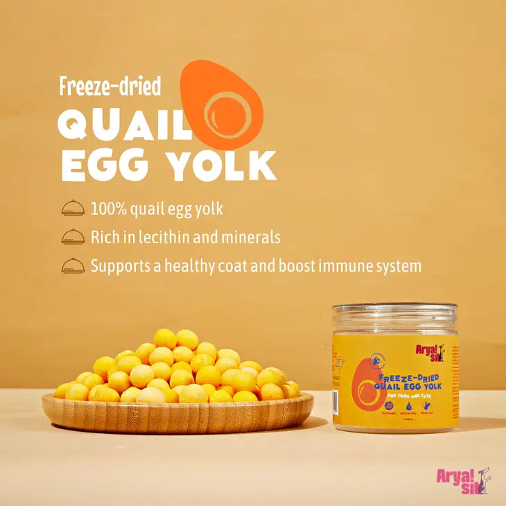 Freeze Dried Egg Yolk | Arya Sit