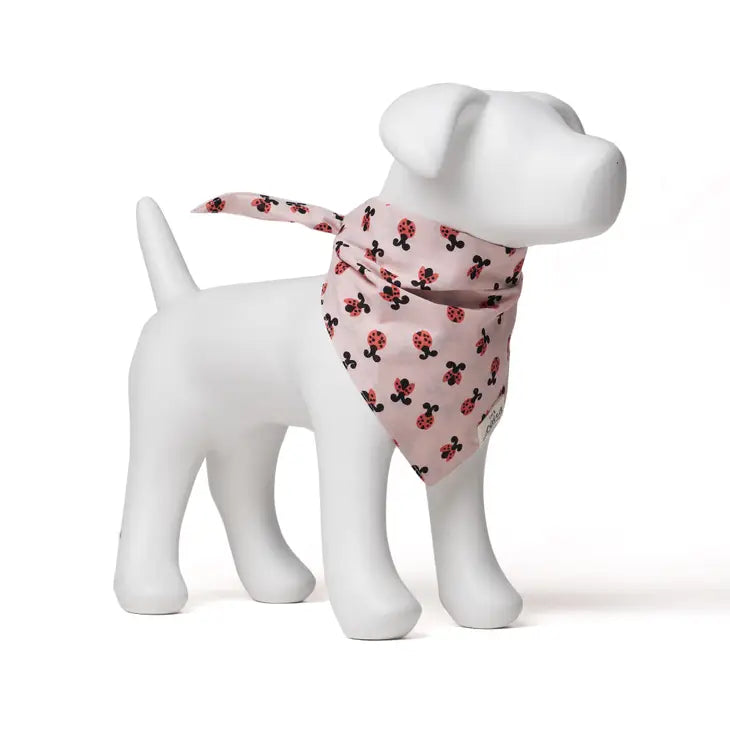 Lovebug Bandana | The Paws