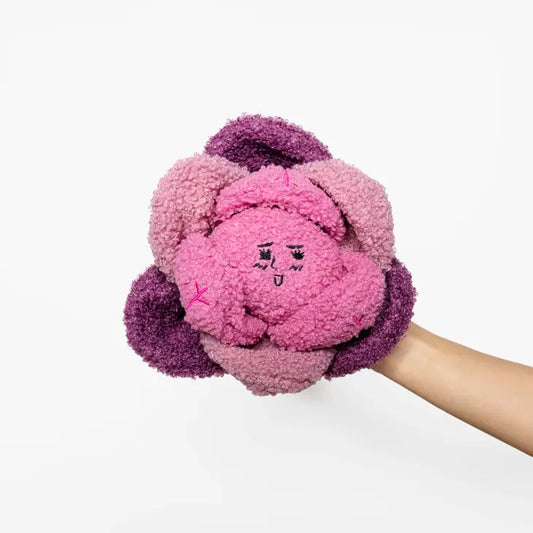 The Furry Folks Red Cabbage Nosework Toy