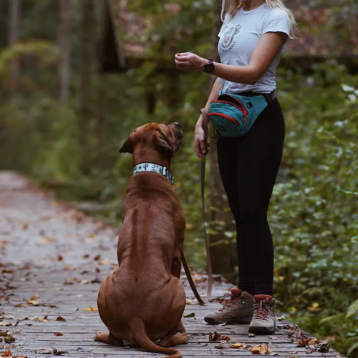 Outback Hound Trail Mate Pack