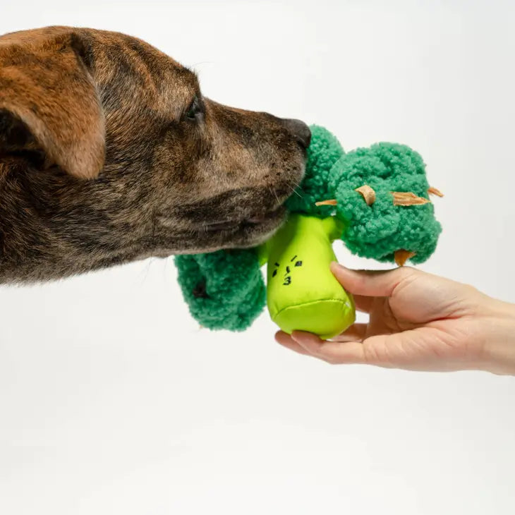 The Furry Folks Broccoli Nosework Toy