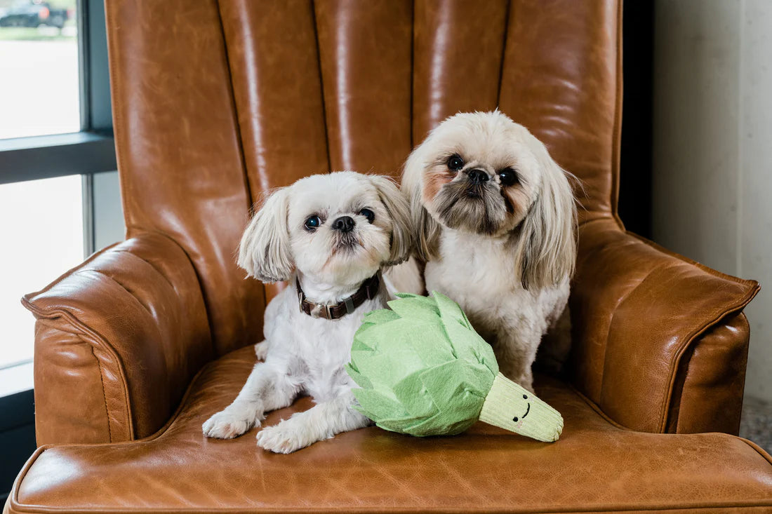 Artichoke Snuffle Toy