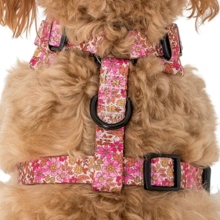 Pink Posie's Adjustable Harness | Pablo & Co.