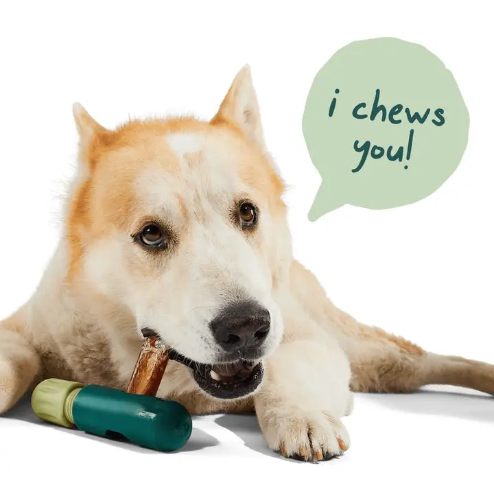 Bullysafe Chews- Pure Collagen | Woof