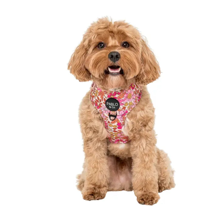 Pink Posie's Adjustable Harness | Pablo & Co.