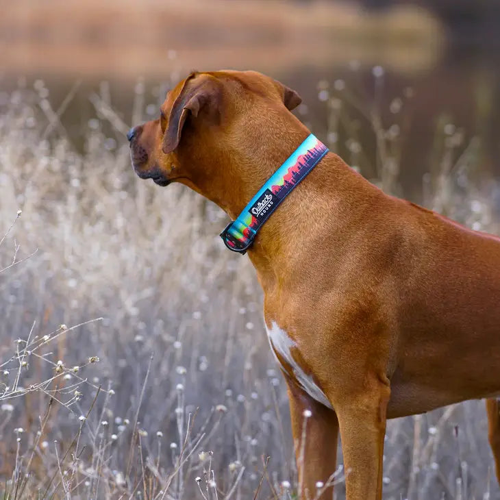 Outback Hound Sunset Trail Hound Collar