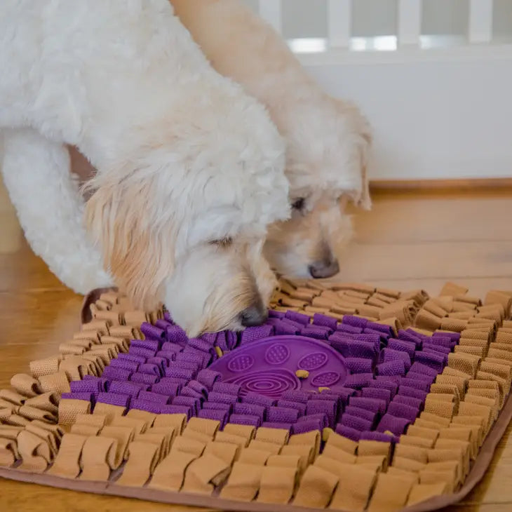 PB & J Snuffle Mat