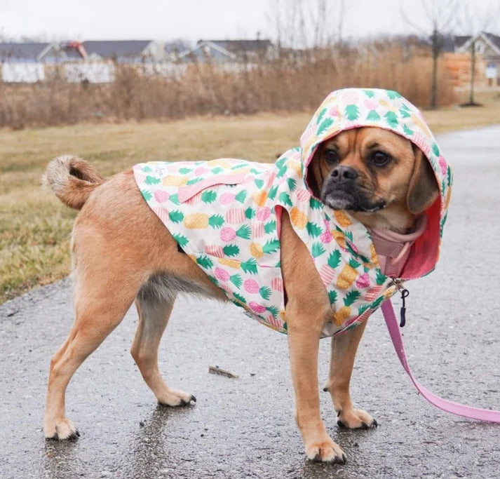 Poolside Chillin Reversible Raincoat | Lucy & Co