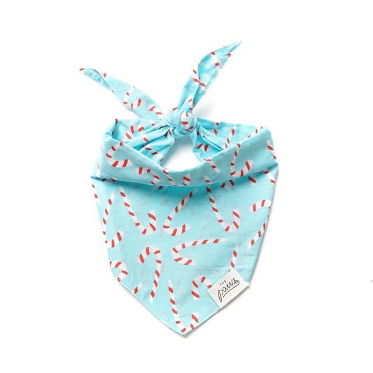 Candyland Blue Dog Bandana