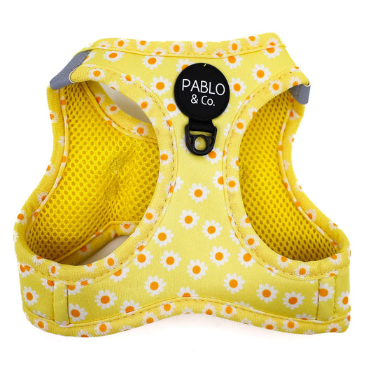 Yellow Daisy Step In Harness | Pablo & Co