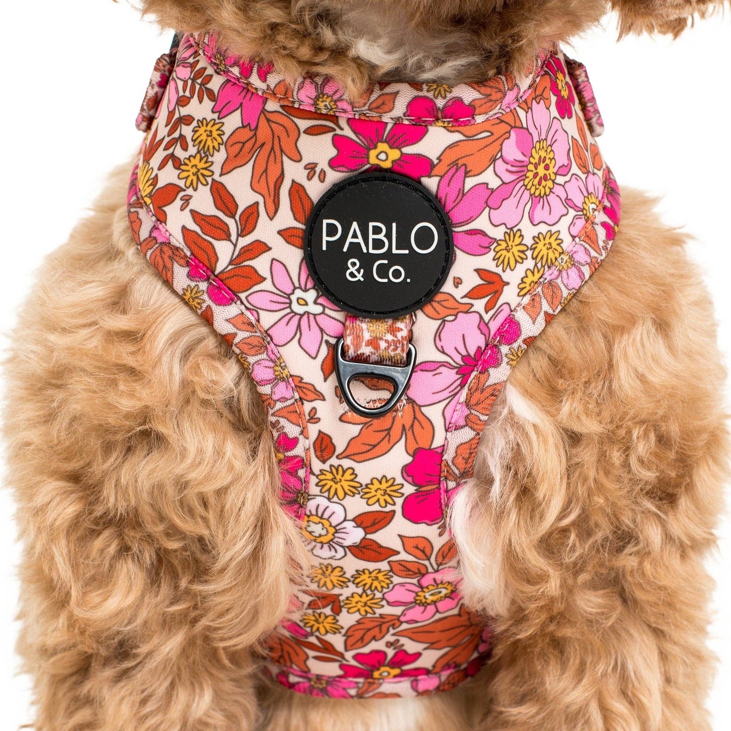 Pink Posie's Adjustable Harness | Pablo & Co.